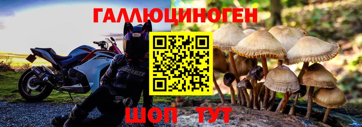 Галлюциногенные грибы Magic Shrooms Ленинск-Кузнецкий